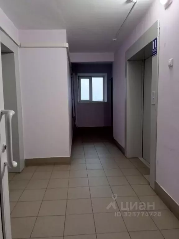 2-к кв. Пермский край, Пермь ул. Попова, 27 (55.0 м) - Фото 2