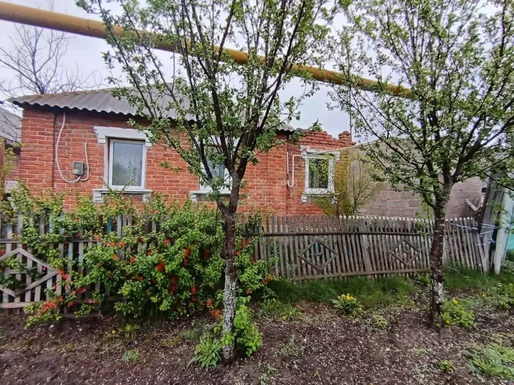 Дом в Белгородская область, Корочанский район, Проходенское с/пос, с. ... - Фото 2