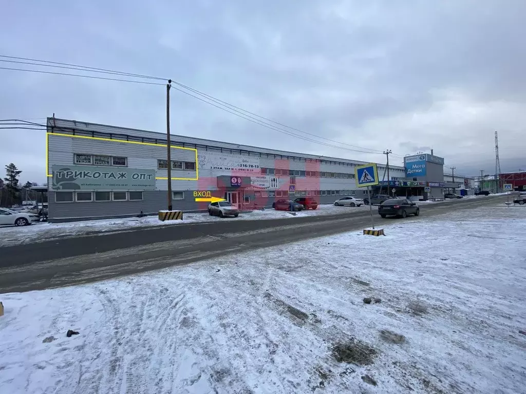 Склад в Свердловская область, Екатеринбург ул. Черняховского, 86к1 ... - Фото 1