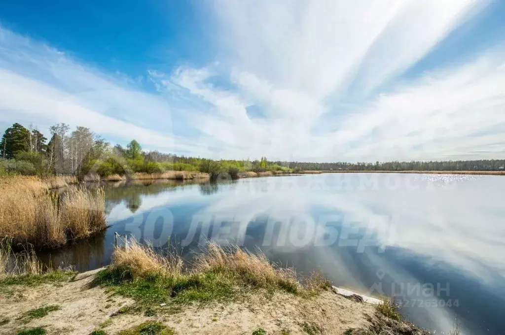 Участок в Тюменская область, Нижнетавдинский муниципальный округ, ... - Фото 2