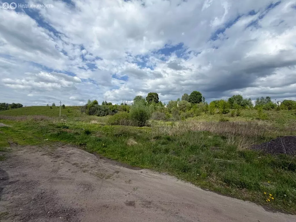 Участок в деревня Курнявцево, Народная улица (35 м) - Фото 2