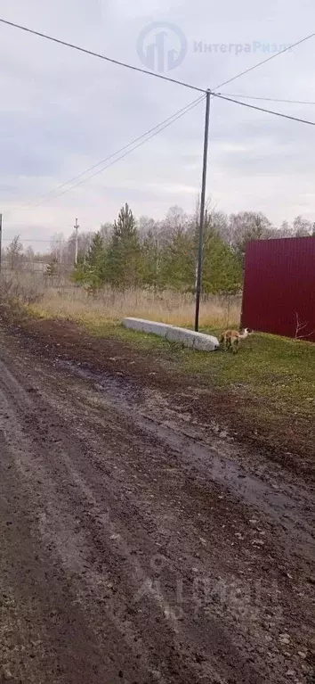 Участок в Курганская область, Кетовский муниципальный округ, с. ... - Фото 1