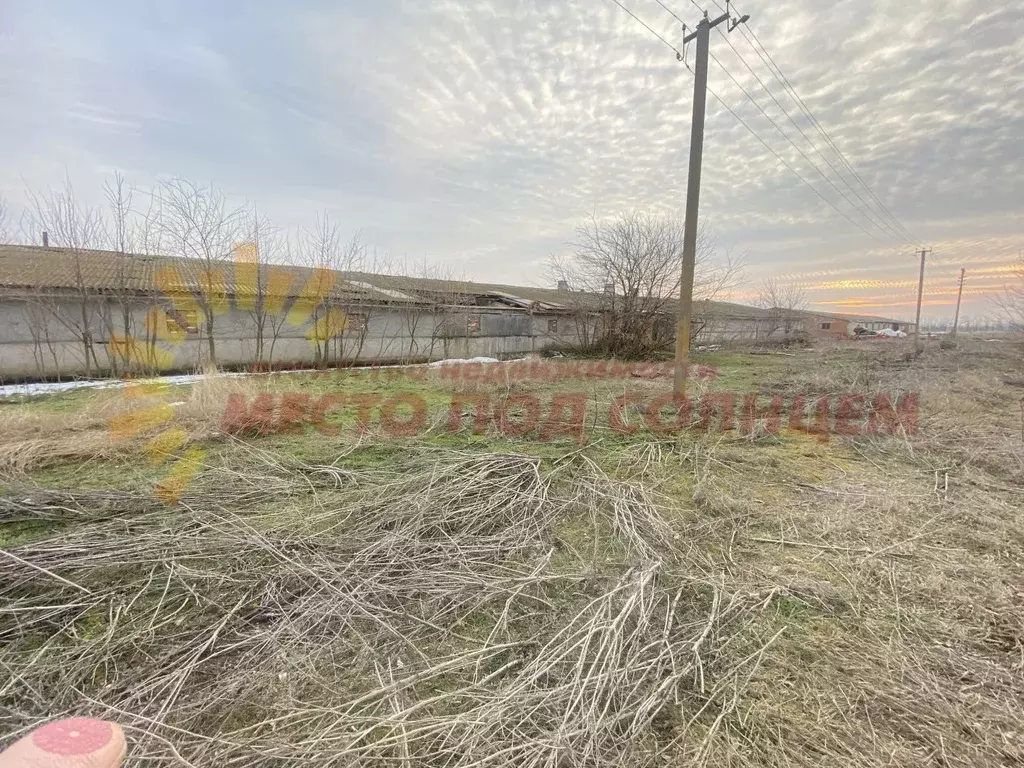 Производственное помещение в Краснодарский край, Ейский район, ... - Фото 2