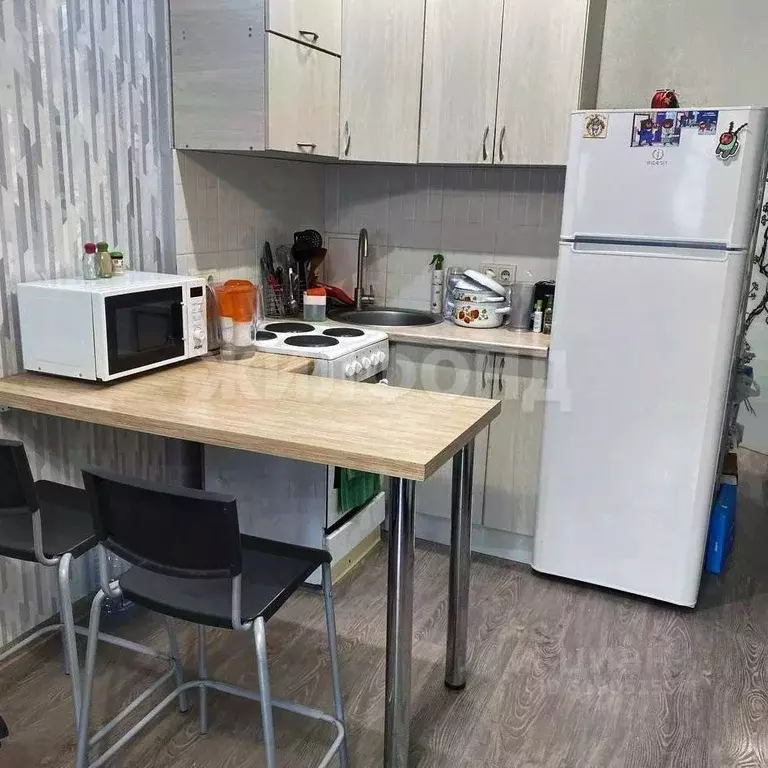 Студия Новосибирская область, Новосибирск Покатная ул., 130/1 (30.0 м) - Фото 1