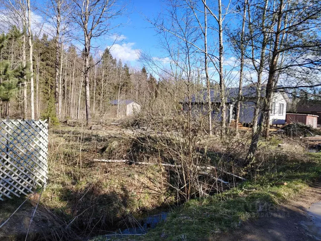 Участок в Ленинградская область, Ломоносовский район, Лебяженское ... - Фото 1
