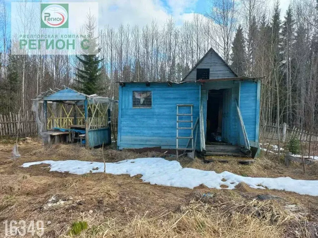 Участок в Архангельская область, Приморский муниципальный округ, Колос ... - Фото 2