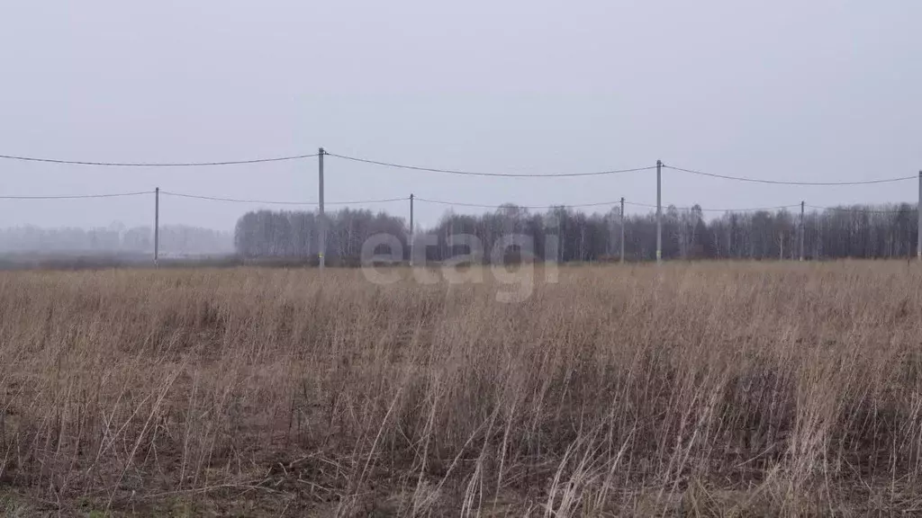 Участок в Тюменская область, Тюменский район, д. Малиновка  (4.32 ... - Фото 0