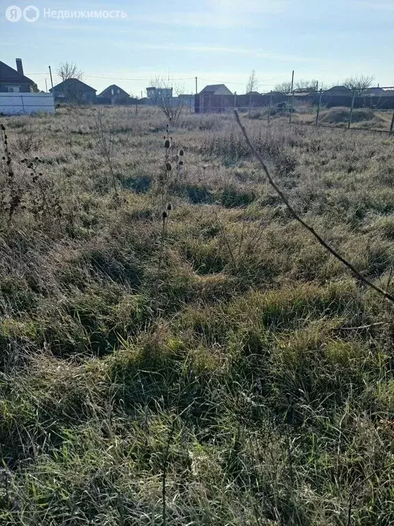 Участок в станица Новотитаровская, Северная улица, 29 (9.9 м) - Фото 2