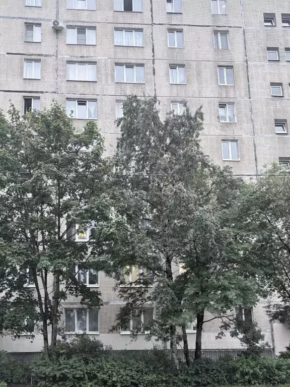 2-к кв. Санкт-Петербург Дунайский просп., 43К1 (50.3 м) - Фото 1