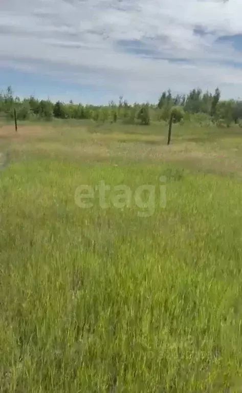 Участок в Саха (Якутия), Якутск  (765.0 сот.) - Фото 1