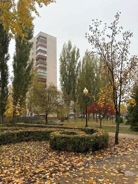 2-к кв. Белгородская область, Старый Оскол Олимпийский мкр, 38 (52.0 ... - Фото 2