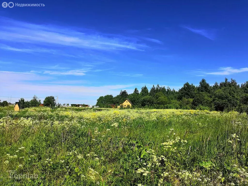Участок в село Семилуки, улица 50 лет Победы, 8 (10 м) - Фото 1