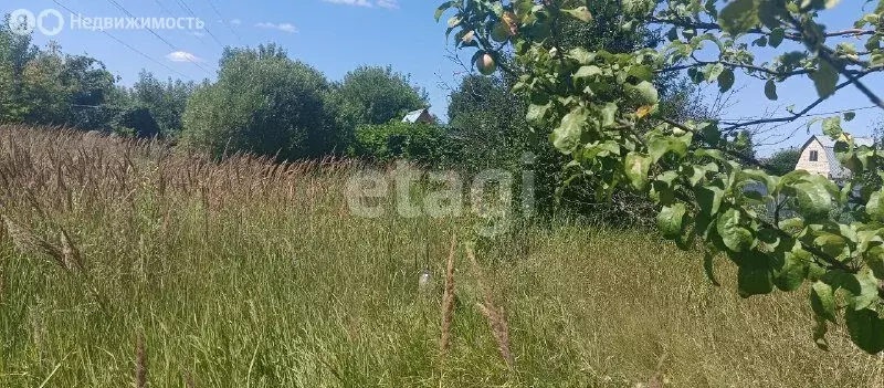 Участок в Волжский район, сельское поселение Курумоч, село Курумоч (8 ... - Фото 1