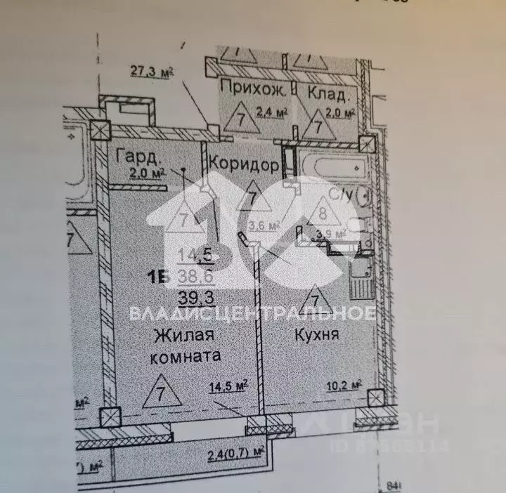 1-к кв. Новосибирская область, Новосибирск Родники мкр, ул. ... - Фото 1