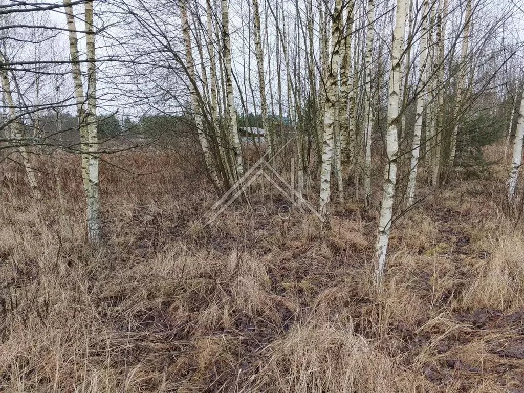 Участок в Ярославская область, Ярославский муниципальный округ, д. ... - Фото 2