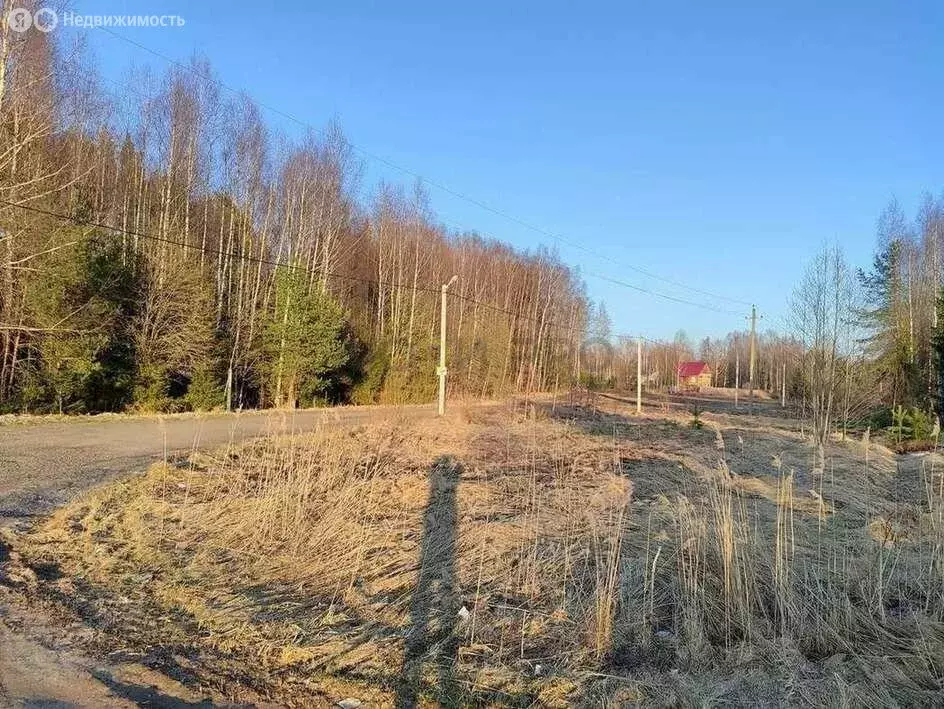 Участок в Ярославский муниципальный округ, деревня Белкино (20 м) - Фото 2