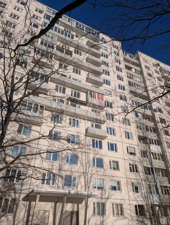 Комната Санкт-Петербург ул. Стасовой, 2А (12.2 м) - Фото 0