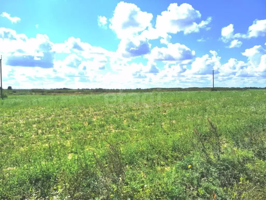 Участок в Брянская область, Унечский район А-240, 118-й км (24.0 сот.) - Фото 1