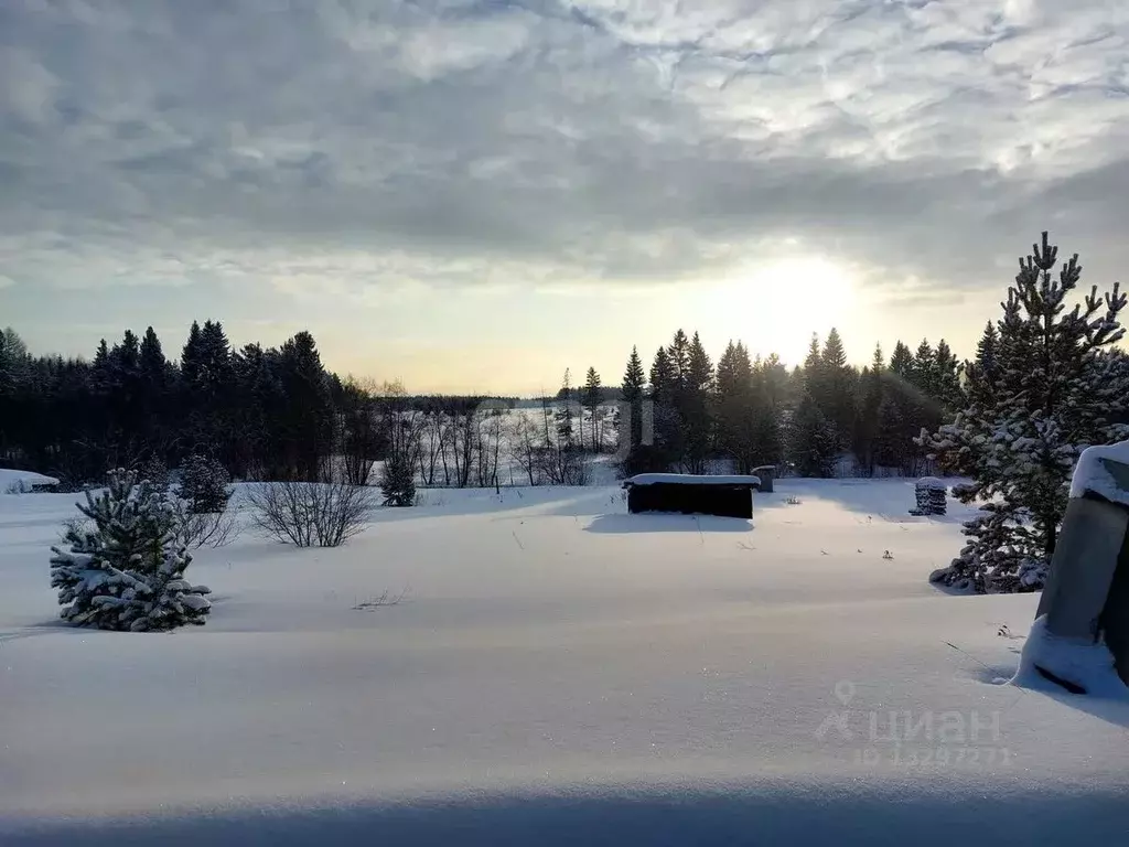 Участок в Свердловская область, Горноуральский городской округ, с. ... - Фото 0