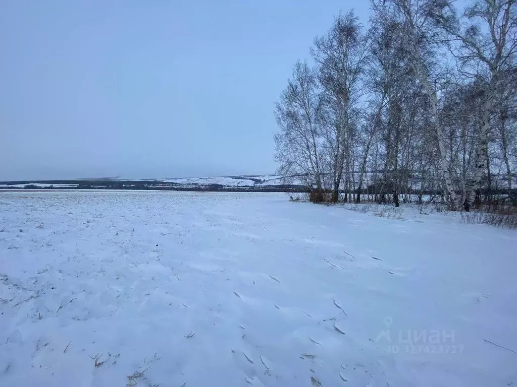 Участок в Красноярский край, Емельяновский муниципальный округ, ... - Фото 2