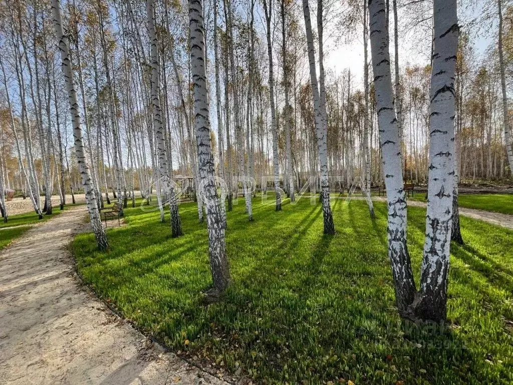 Участок в Тюменская область, Нижнетавдинский район, Строитель ТСН  ... - Фото 1