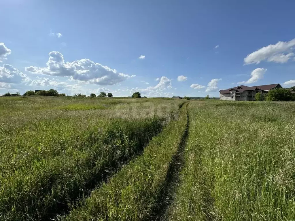 Участок в Мордовия, Саранск городской округ, с. Напольная Тавла ул. ... - Фото 1