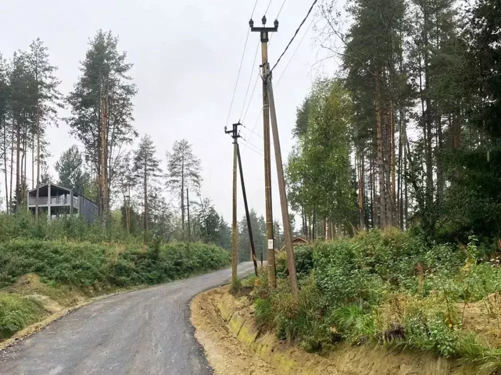 Участок в Ленинградская область, Всеволожский район, Куйвозовское ... - Фото 0