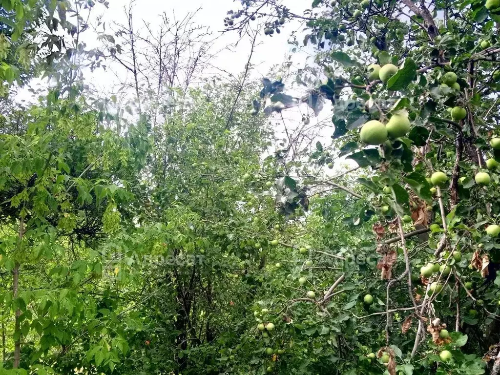 Участок в Волгоградская область, Волгоград Авангард СНТ,  (15.0 сот.) - Фото 1