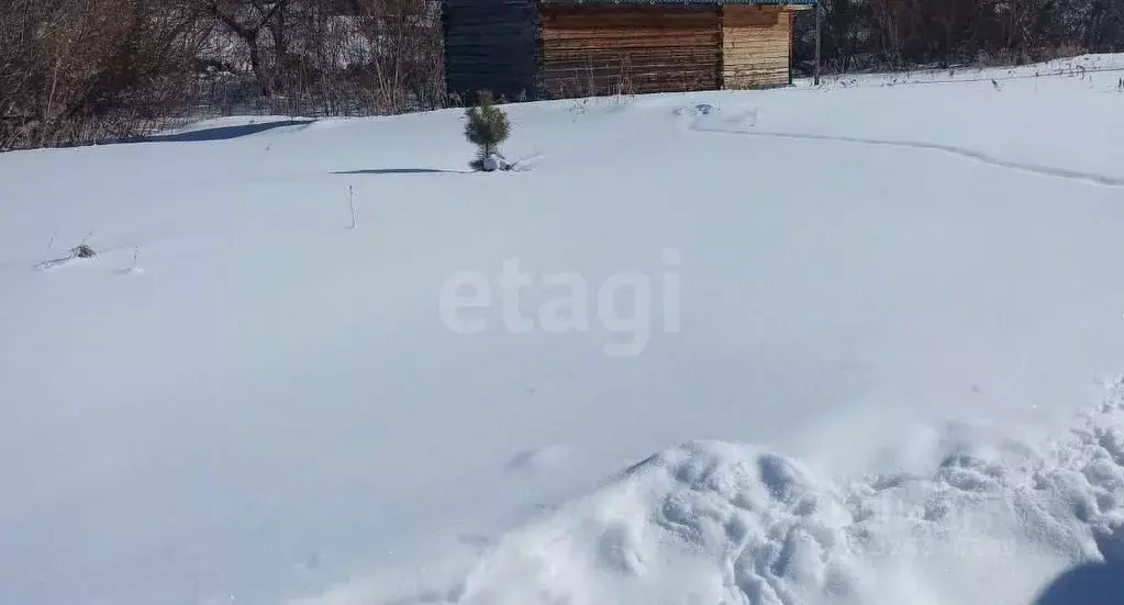 Участок в Алтайский край, Белокуриха ул. Грибная (8.9 сот.) - Фото 1