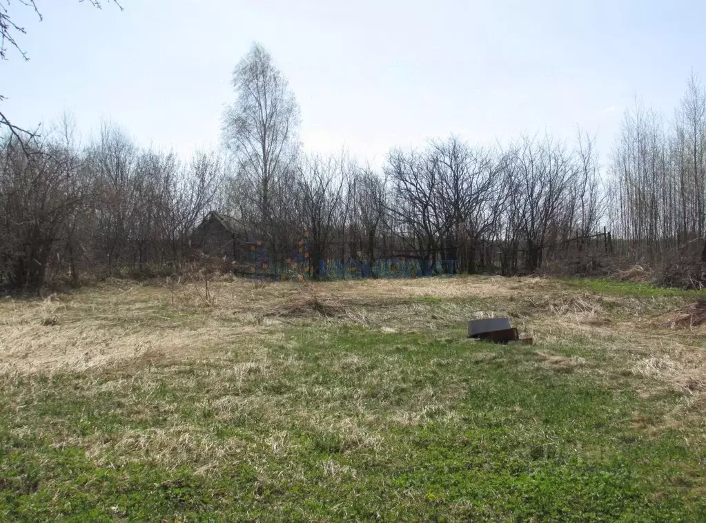 Участок в Нижегородская область, Богородский муниципальный округ, д. ... - Фото 2
