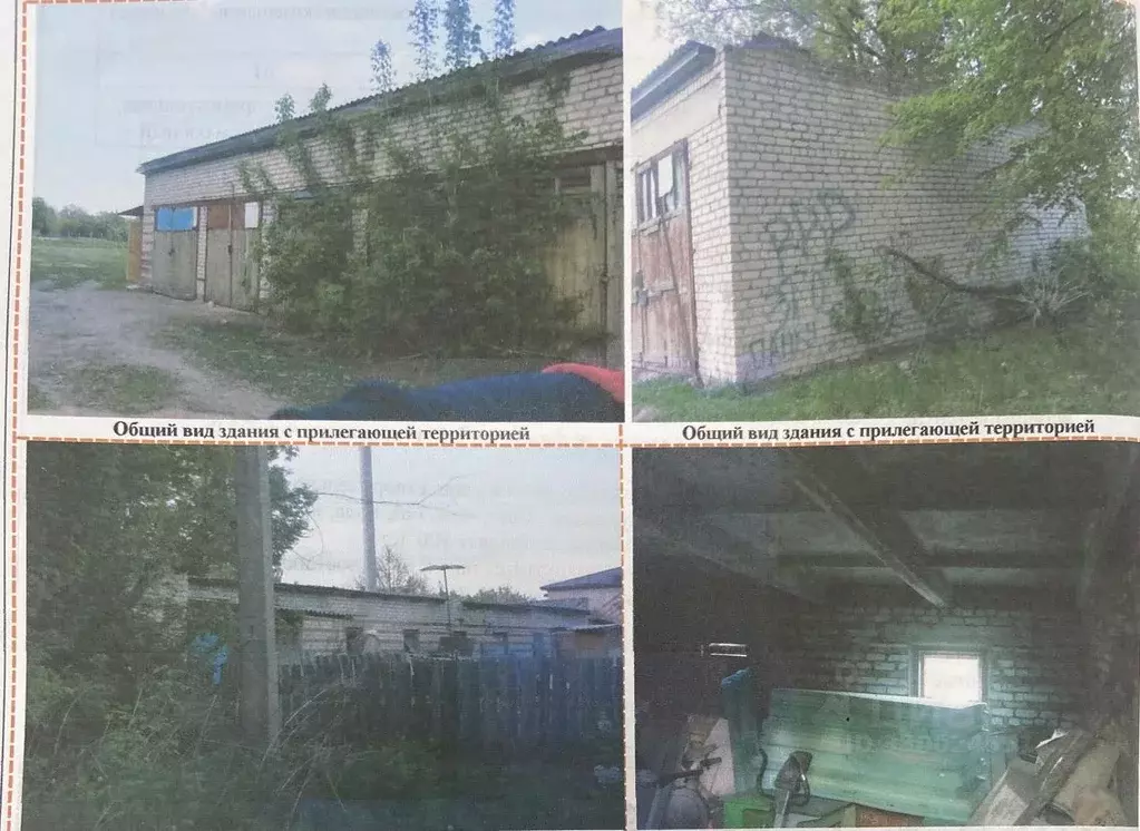 Помещение свободного назначения в Брянская область, Красная Гора рп ... - Фото 1