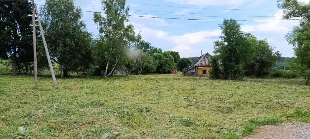 Участок в Калужская область, Козельский район, Бурнашево с/пос, д. ... - Фото 2