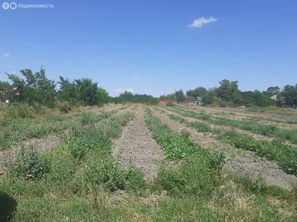 Дом в Новощербиновская, Запорожская улица (51.5 м) - Фото 1