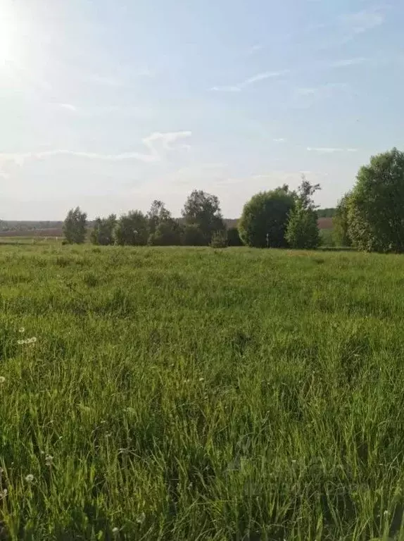 Участок в Московская область, Коломна городской округ, д. Дубна  (9.66 ... - Фото 1