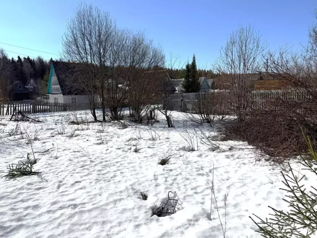 Дом в Вологодская область, Великоустюгский муниципальный округ, Луч ... - Фото 1