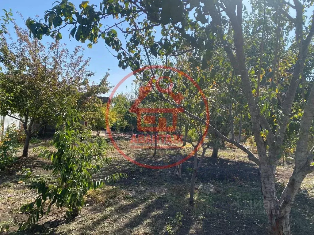 Участок в Краснодарский край, Армавир пл. Ленина (5.0 сот.) - Фото 2