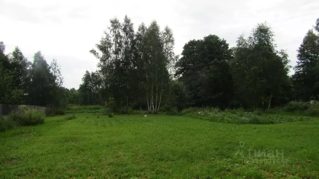 Участок в Московская область, Рузский муниципальный округ, д. ... - Фото 1