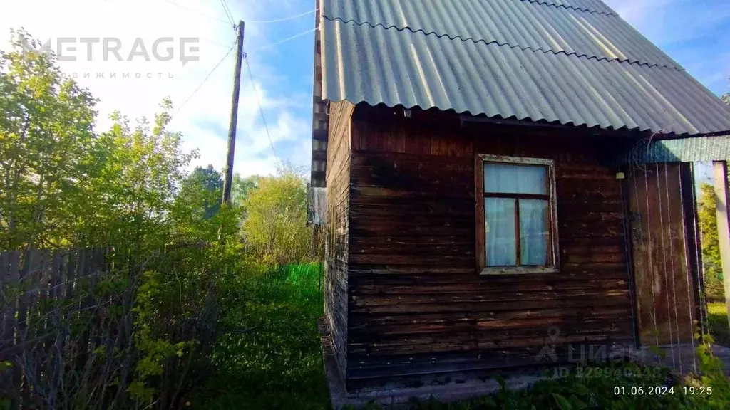 Участок в Новосибирская область, Мошковский район, Радуга-2 СНТ 162 ... - Фото 2