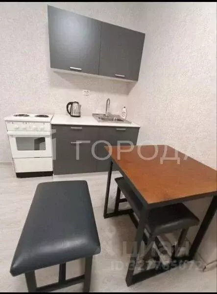 Студия Новосибирская область, Новосибирск ул. Забалуева, 96 (25.0 м) - Фото 1