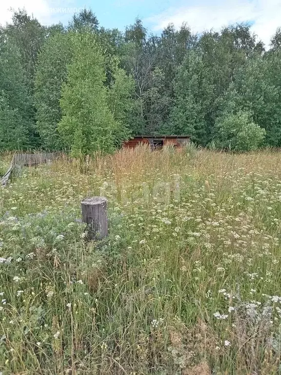 Участок в село Киреевск, Сибирская улица (14.3 м) - Фото 1