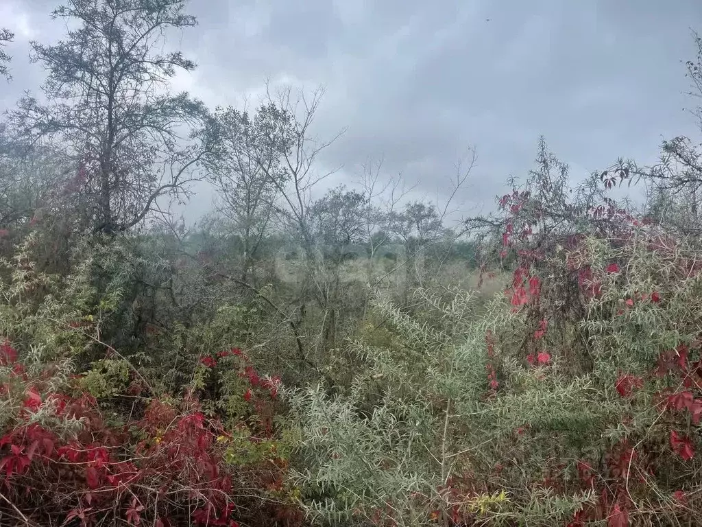 Участок в Северная Осетия, Алагир ул. Караева (5.0 сот.) - Фото 2