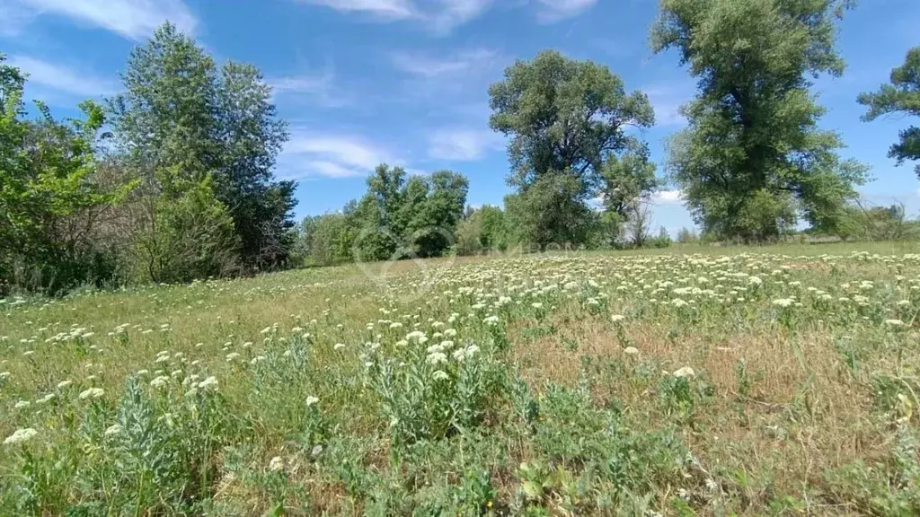Участок в Волгоградская область, Среднеахтубинский район, Кировское ... - Фото 1