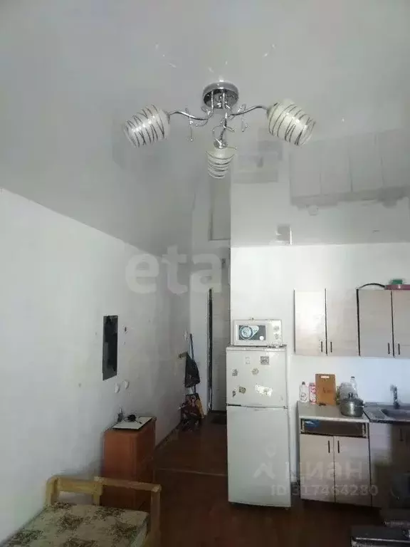 1-к кв. Новосибирская область, Новосибирск ул. Забалуева, 90 (24.0 м) - Фото 0