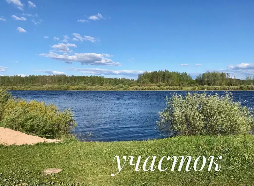 Участок в Псковская область, Палкинская волость, д. Мольгино  (77.7 ... - Фото 2