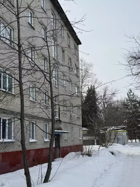 Студия Алтайский край, Барнаул ул. Юрина, 257/13 (12.6 м) - Фото 1