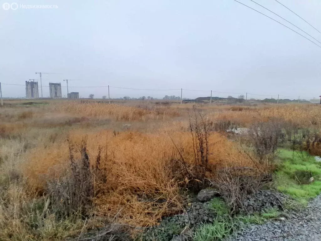 Участок в Батайск, Клеверная улица, 62 (4.2 м) - Фото 2