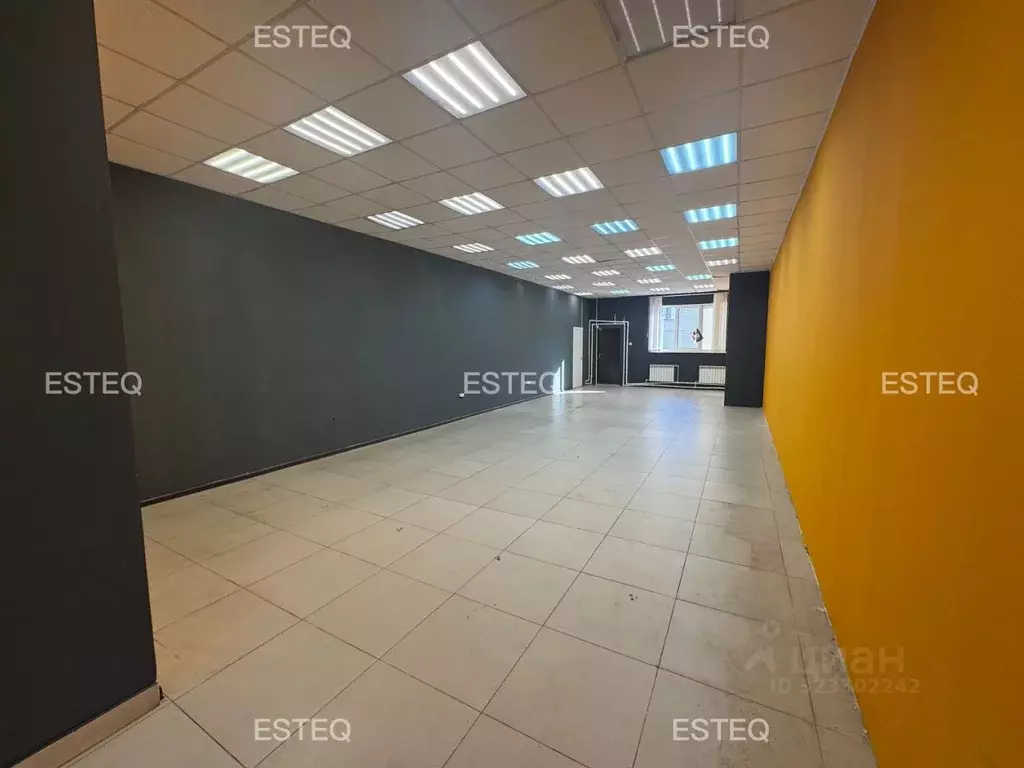 Торговая площадь в Новосибирская область, Новосибирск ул. Никитина, ... - Фото 1