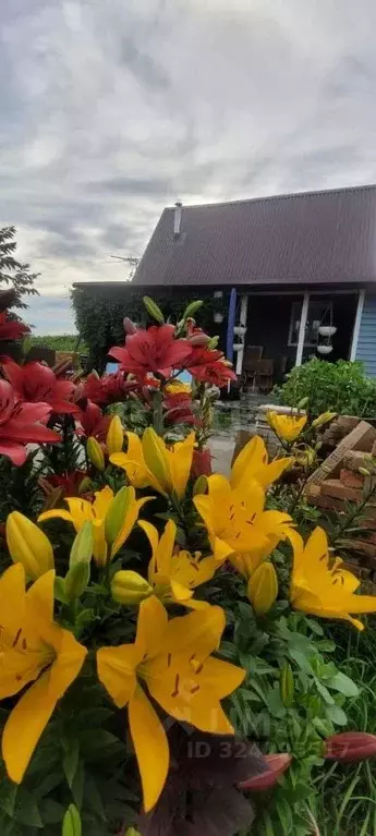 Дом в Хабаровский край, Хабаровск ул. Жуковского, 86/5 (44 м) - Фото 2