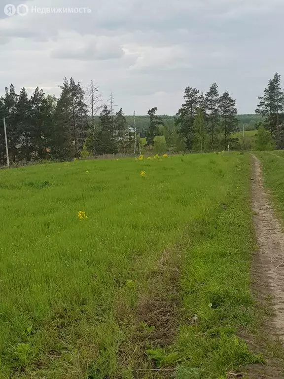 Участок в Орловский муниципальный округ, деревня Кондырева (11 м) - Фото 1