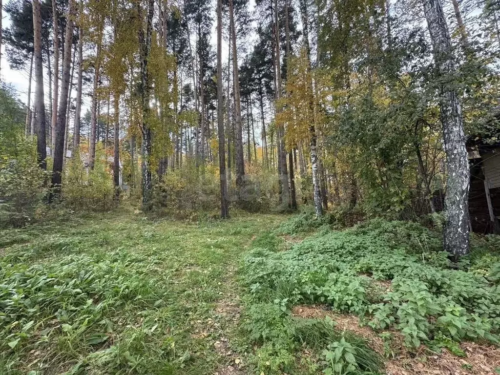 Участок в Красноярский край, Красноярск Азовская ул. (25.0 сот.) - Фото 1